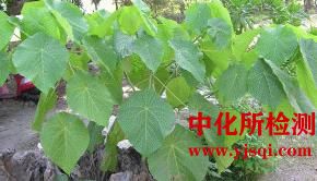 陆生植物生长测试