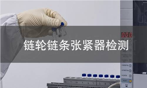 链轮链条张紧器检测