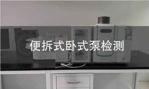 便拆式卧式泵检测