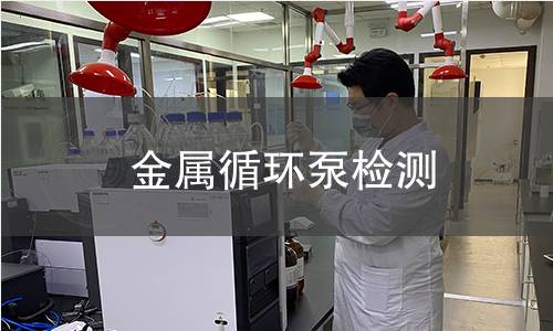 金属循环泵检测