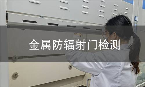 金属防辐射门检测