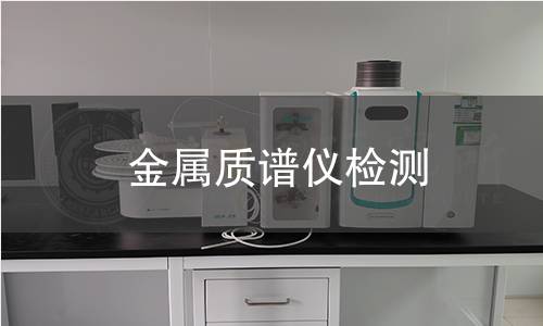 金属质谱仪检测