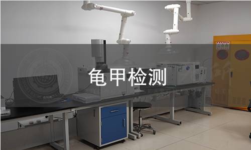 龟甲检测
