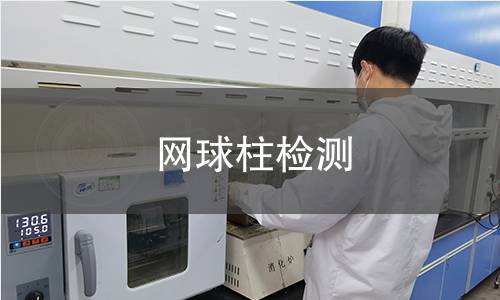 网球柱检测