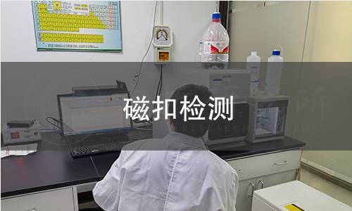 磁扣检测