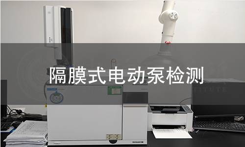 隔膜式电动泵检测