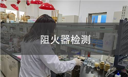 阻火器检测