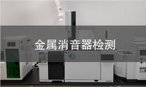 金属消音器检测