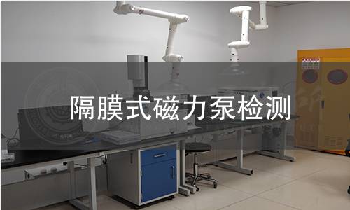 隔膜式磁力泵检测