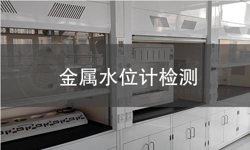 金属水位计检测