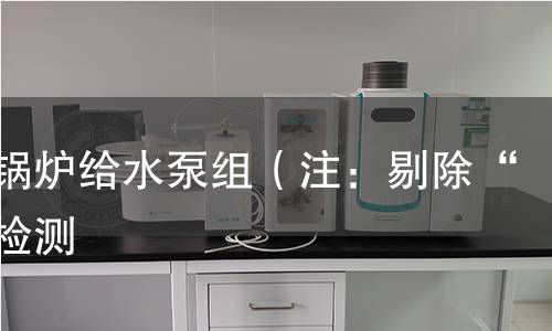 离心锅炉给水泵组（注：剔除“组”检测