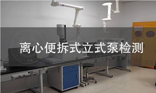 离心便拆式立式泵检测