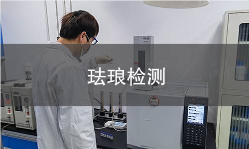 珐琅检测