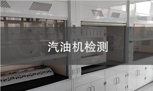 汽油机检测