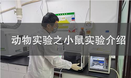 动物实验之小鼠实验介绍