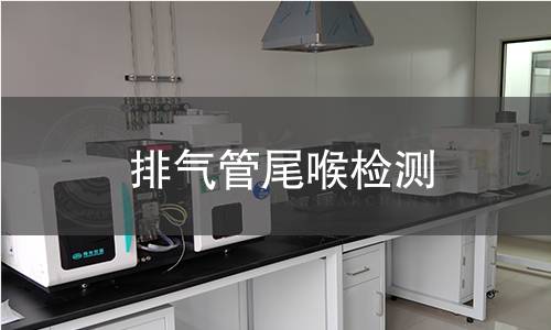 排气管尾喉检测
