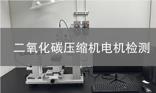 二氧化碳压缩机电机检测