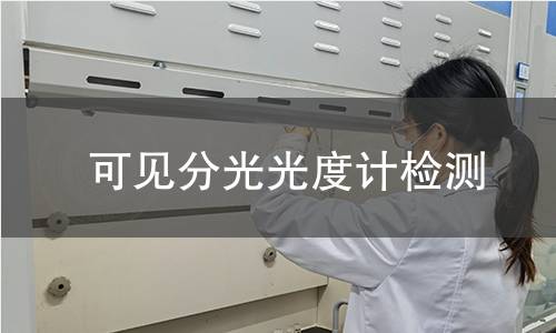 可见分光光度计检测