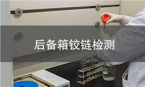 后备箱铰链检测