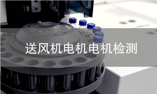 送风机电机电机检测