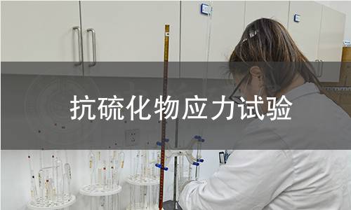 抗硫化物应力试验