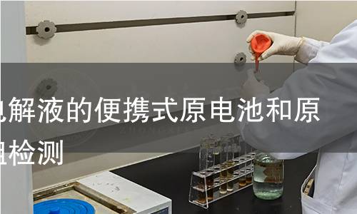 含水电解液的便携式原电池和原电池组检测