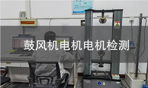 鼓风机电机电机检测